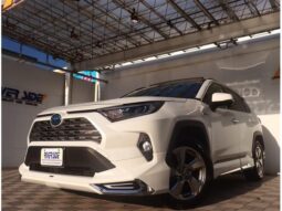 
										TOYOTA RAV4 2020 full									