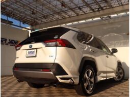 
										TOYOTA RAV4 2020 full									