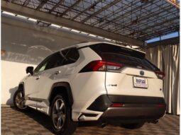 
										TOYOTA RAV4 2020 full									