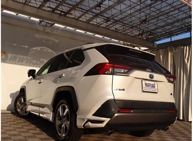 
								TOYOTA RAV4 2020 full									