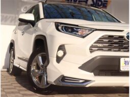 
										TOYOTA RAV4 2020 full									