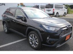 TOYOTA RAV4 2020