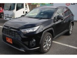 TOYOTA RAV4 2020