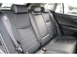 
										TOYOTA RAV4 2020 full									