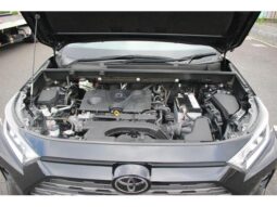 
										TOYOTA RAV4 2020 full									