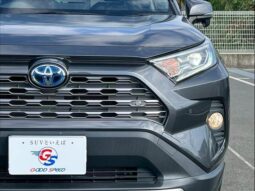 
										TOYOTA RAV4 2020 full									