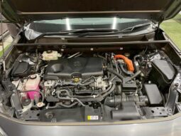 
										TOYOTA RAV4 2020 full									