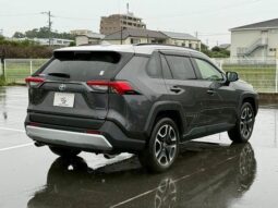 
										TOYOTA RAV4 2020 full									