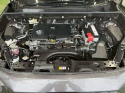 
										TOYOTA RAV4 2020 full									