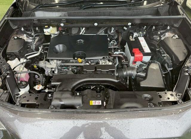 
								TOYOTA RAV4 2020 full									