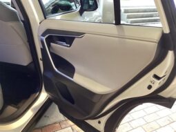 
										TOYOTA RAV4 2020 full									