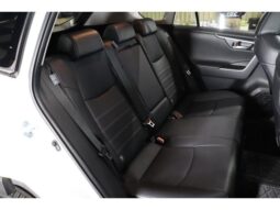 
										TOYOTA RAV4 2019 full									