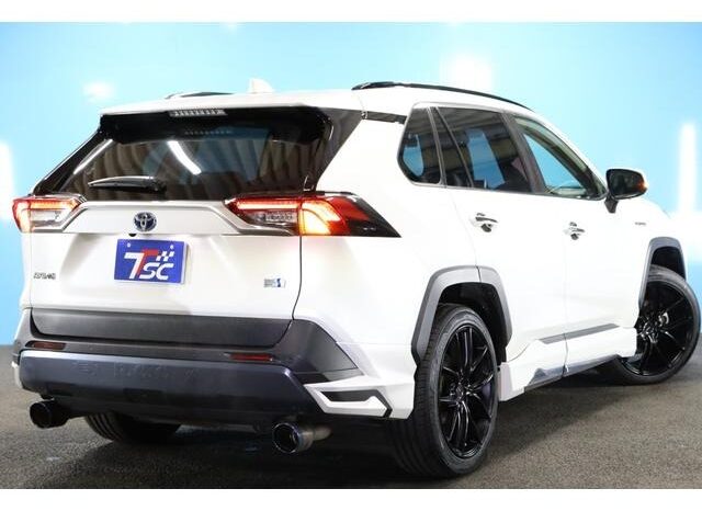 
								TOYOTA RAV4 2019 full									