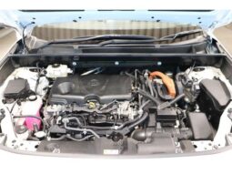 
										TOYOTA RAV4 2019 full									