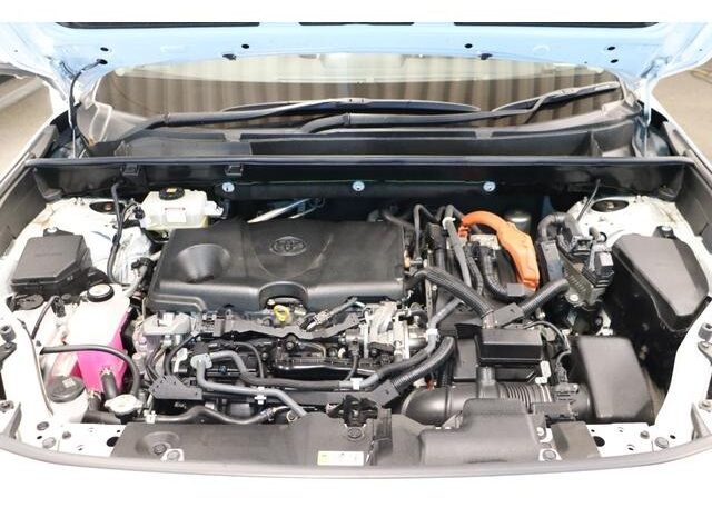 
								TOYOTA RAV4 2019 full									