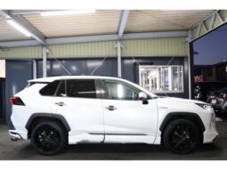 
										TOYOTA RAV4 2019 full									