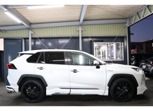 
								TOYOTA RAV4 2019 full									