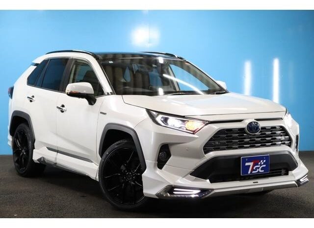 
								TOYOTA RAV4 2019 full									