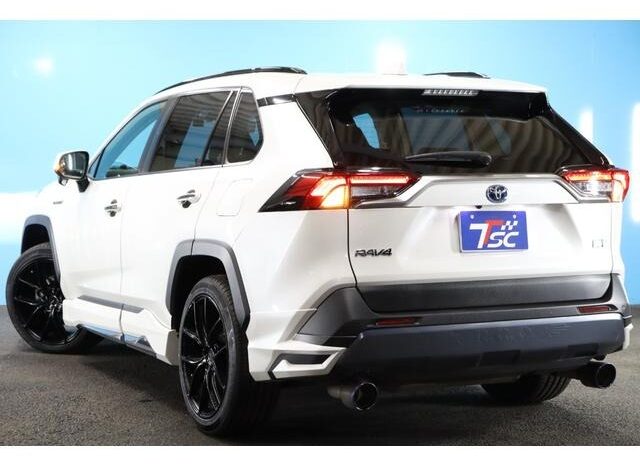 
								TOYOTA RAV4 2019 full									