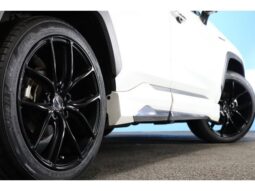 
										TOYOTA RAV4 2019 full									