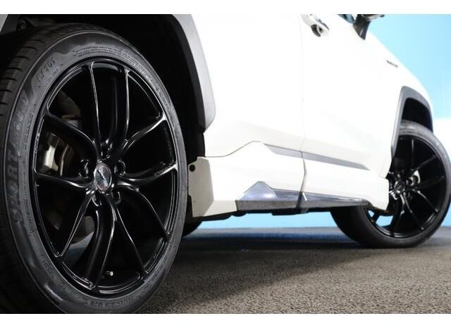 
								TOYOTA RAV4 2019 full									