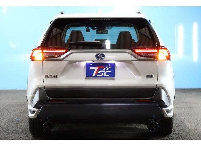 
								TOYOTA RAV4 2019 full									