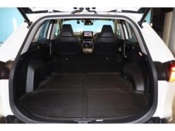 
										TOYOTA RAV4 2019 full									