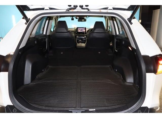 
								TOYOTA RAV4 2019 full									