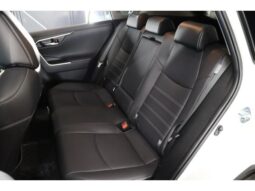 
										TOYOTA RAV4 2019 full									