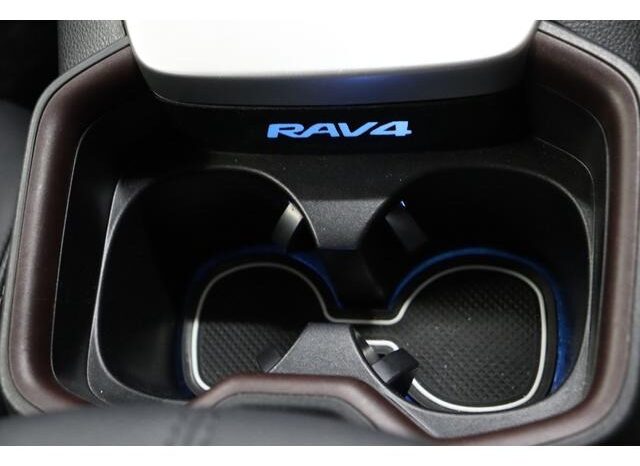 
								TOYOTA RAV4 2019 full									