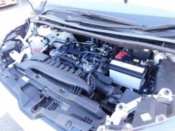 
										TOYOTA NOAH 2024 full									