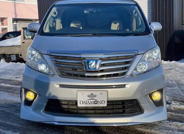 
								TOYOTA ALPHARD 2009 full									