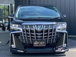 TOYOTA ALPHARD 2019