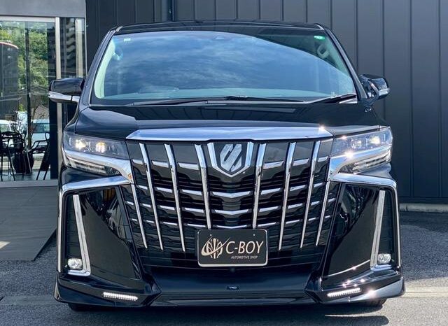 
								TOYOTA ALPHARD 2019 full									