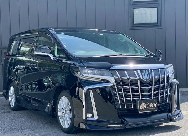 
								TOYOTA ALPHARD 2019 full									