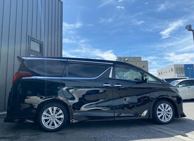
								TOYOTA ALPHARD 2019 full									
