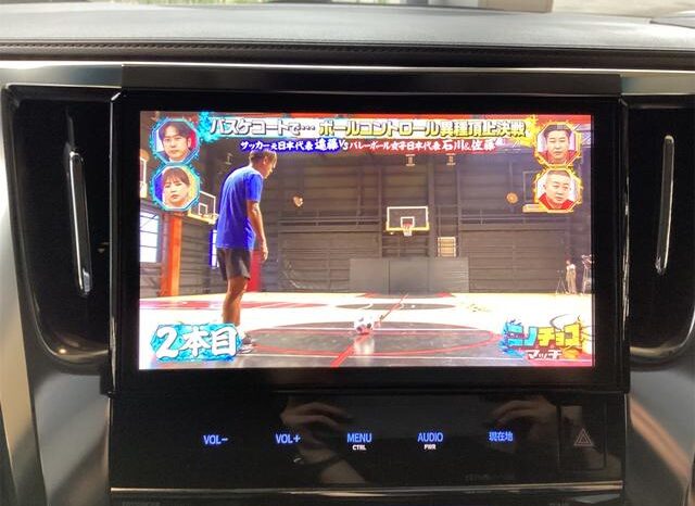 
								TOYOTA ALPHARD 2016 full									