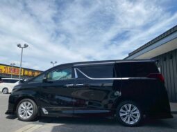
										TOYOTA ALPHARD 2019 full									