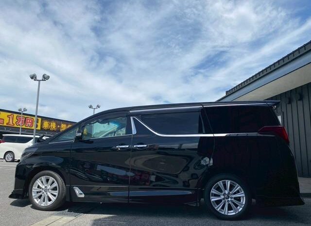 
								TOYOTA ALPHARD 2019 full									