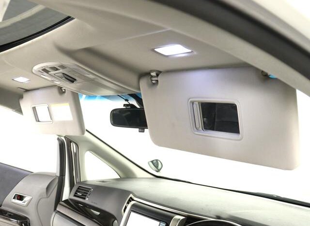 
								TOYOTA ALPHARD 2010 full									