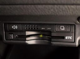 
										TOYOTA ALPHARD 2012 full									