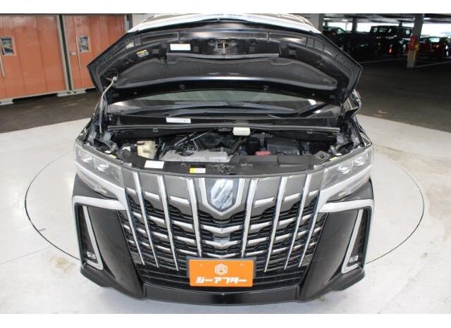 
								TOYOTA ALPHARD 2018 full									