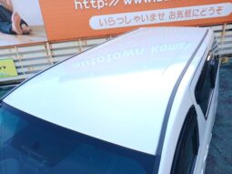 
										TOYOTA ALPHARD 2013 full									