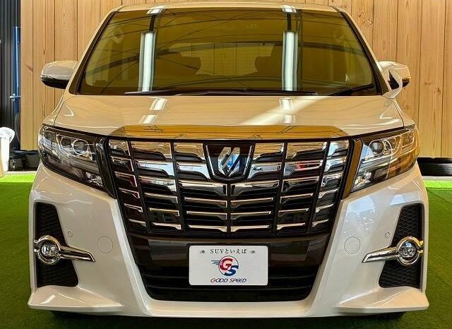 
								TOYOTA ALPHARD 2017 full									