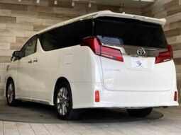 
										TOYOTA ALPHARD 2020 full									