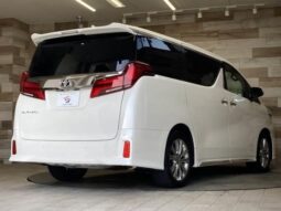 
										TOYOTA ALPHARD 2020 full									