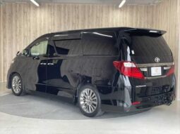 
										TOYOTA ALPHARD 2013 full									