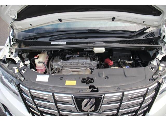 
								TOYOTA ALPHARD 2015 full									