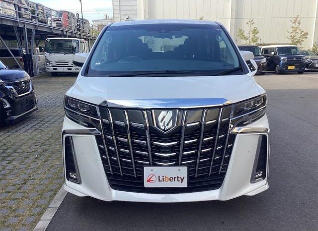 
								TOYOTA ALPHARD 2019 full									