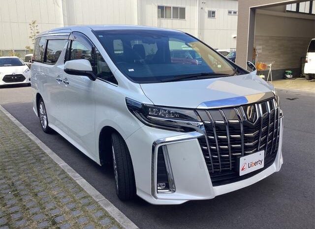 
								TOYOTA ALPHARD 2019 full									